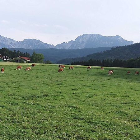 Strasser-Hof Teisendorf Eksteriør bilde