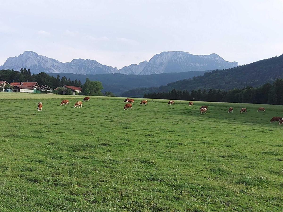 Strasser-Hof Teisendorf Eksteriør bilde
